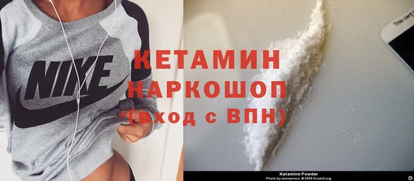 дживик Бородино