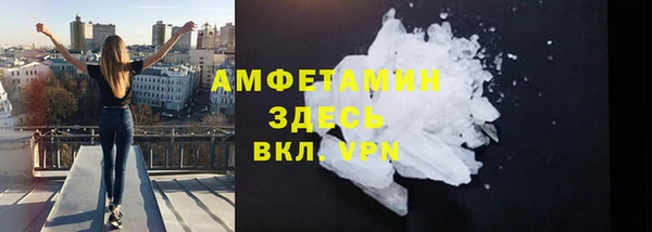 дживик Бородино