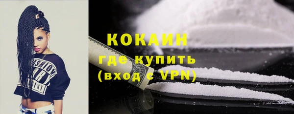 дживик Бородино