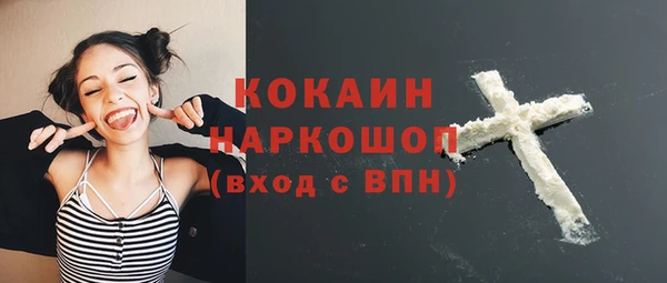 дживик Бородино