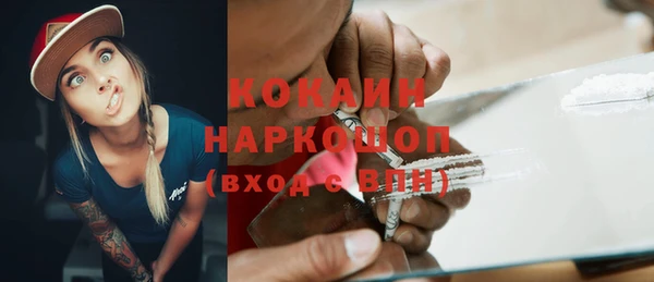 дживик Бородино