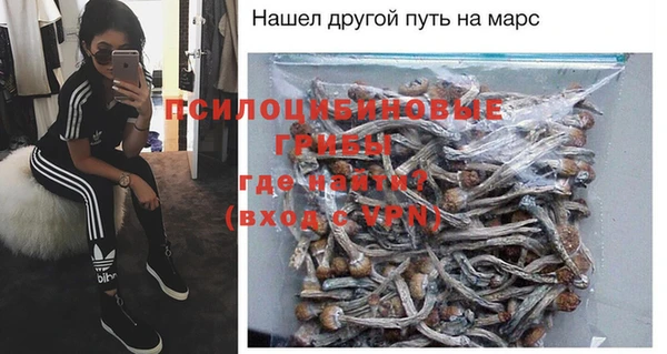 дживик Бородино