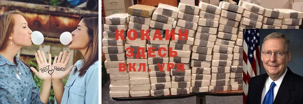 дживик Бородино